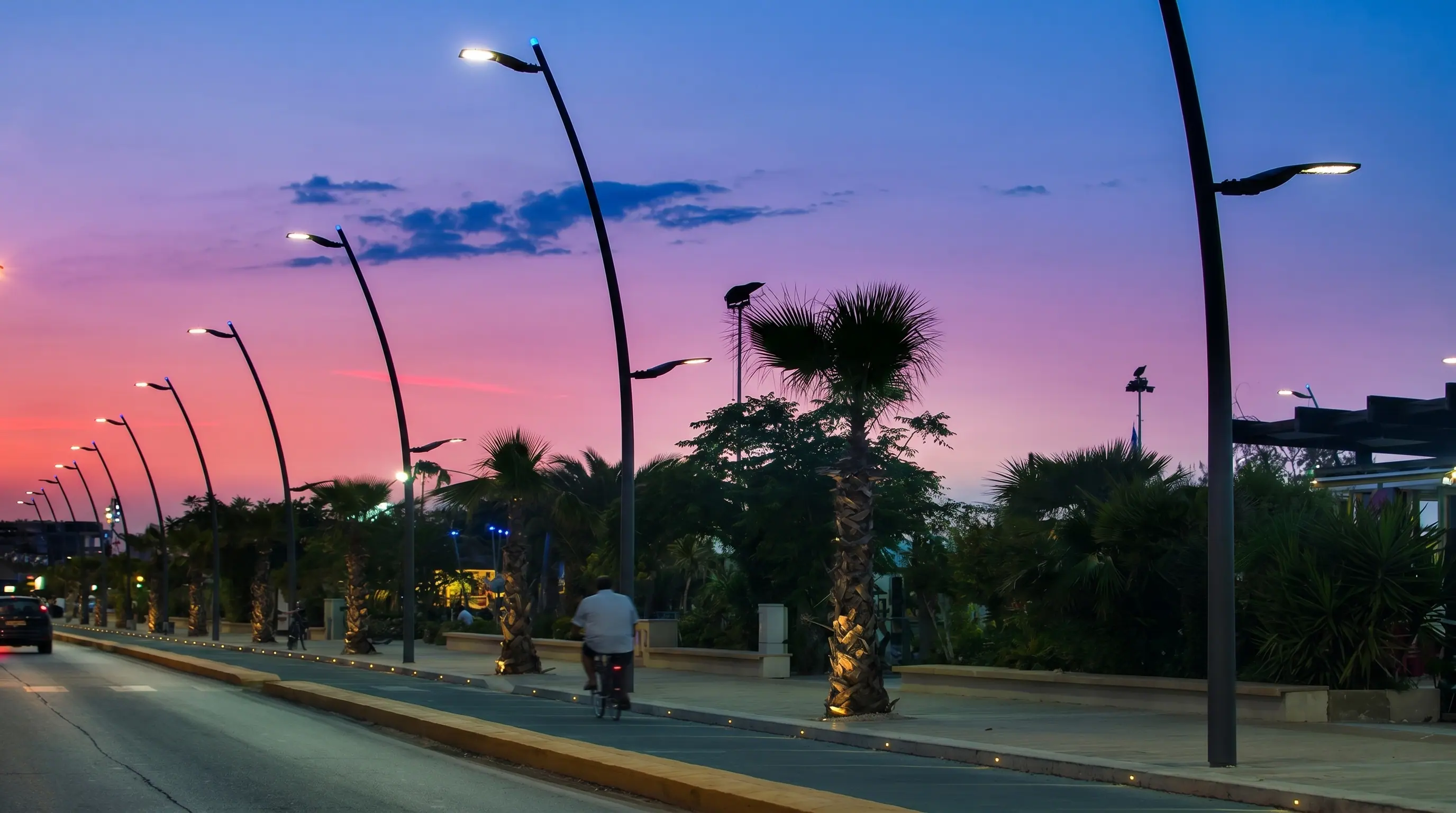 Premium decorative street lighting poles installed along a palm-lined roadway, providing architectural illumination for urban developments, public spaces, and commercial landscapes.